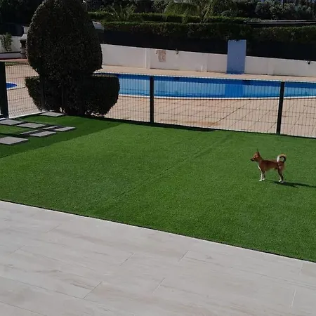 Gale Premium House - Pet Friendly * 阿尔布费拉