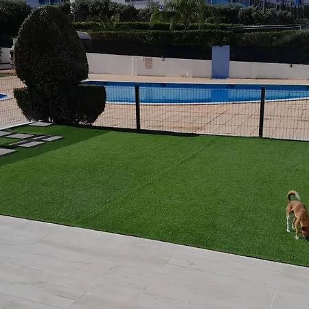 Galé Premium House - Pet Friendly *
